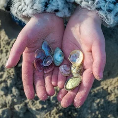 Gardinen Two children's hands holding shelves on the beach © Erik_AJV
