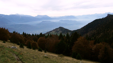 Landscape montain forest in french alps