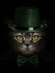 Obrazy na Szkle  ciemny pysk kota w zielonym kapeluszu i krawacie motyla