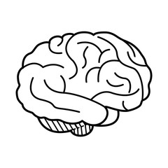 human brain icon image vector illustration design 