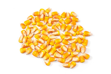 Hybrid corn seed pile isolated on white background