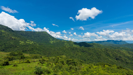 Green forest mountain and blue sky