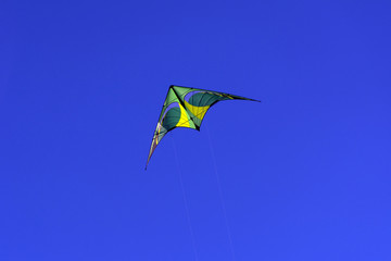  kite soars, flying in the blue sky