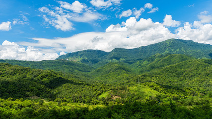 Green forest mountain and blue sky
