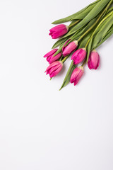 Fototapeta premium pink tulips isolated on white. Flat lay, top view.