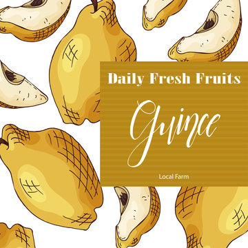 Food design with fruit. Hand drawn sketch of guince. Organic fresh product for card or poster design for cafe, market. Colorful vector illustration