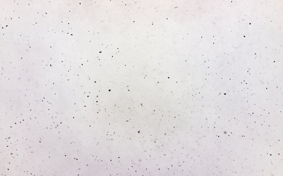 Abstract white background with black speckles of snow