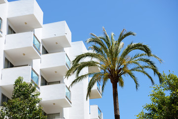 Fototapeta na wymiar The palm tree and building of hotel, Mallorca, Spain