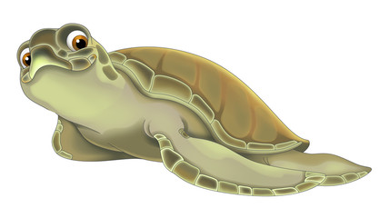 cartoon happy turtle  - cartoon style with animals