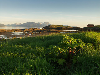 Fototapeta premium Midnight Near Bodø Fjord , Norway