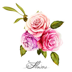 Bouquet of roses. Hand drawn. Can be used as design element in background, greeting cards, covers, etc. Vector stock.