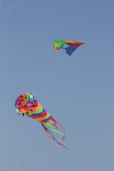 Kites at kite festival