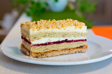 Kuchenschnitte