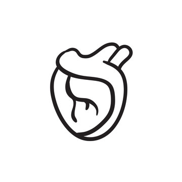 Heart sketch icon.