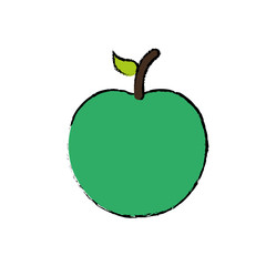 Delicious apple fruit icon vector illustration graphic design