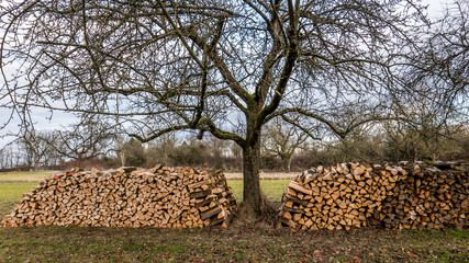Brennholzlager © focus finder