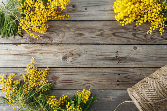 Fototapeta Mimosa flowers on gray wooden background. old wooden table. Copy space for text. twine roll
