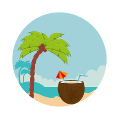 coconut cocktail summer icon vector illustration design