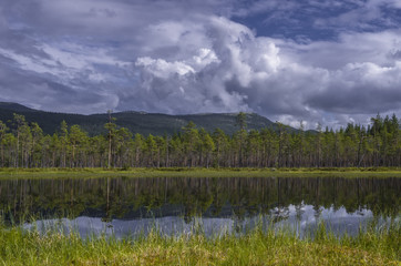Fototapeta na wymiar Lake in forest. Norway