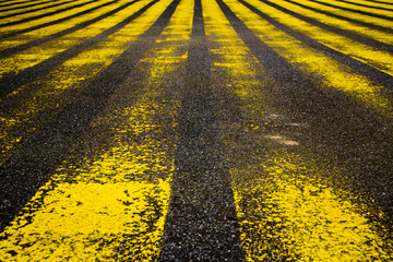 abgenutzte gelbe Strassenmarkierungen, Detail einer Markierung auf der Strasse in Gelber Farbe
