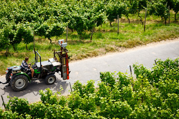 Winzer auf Traktor im Weinberg © Matthias