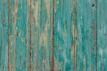 Fototapeta na wymiar Rustic old plank background in turquoise, mint colors with textures scratches and antique cracked paint