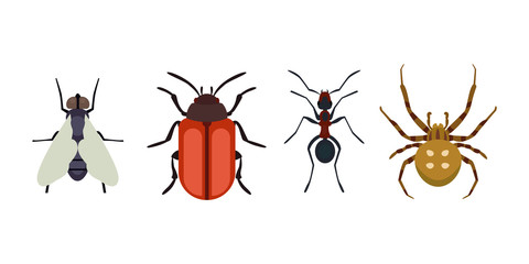 Insect icon flat isolated nature flying bugs beetle ant and wildlife spider grasshopper or mosquito cockroach animal biology graphic vector illustration.