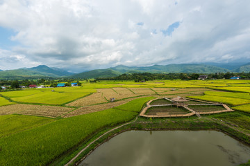 Rice terraces on mountain in Nan Province, northern of Thailand.