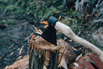 ax, firewood, grass, nature