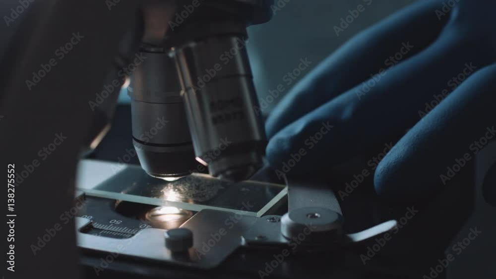 Wall mural close up view of scientist hands with gloves set the sample in the microscope for research