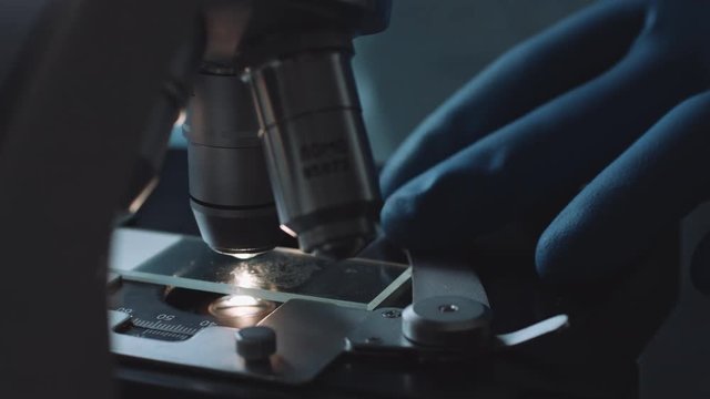 Close up view of scientist hands with gloves set the sample in the microscope for research