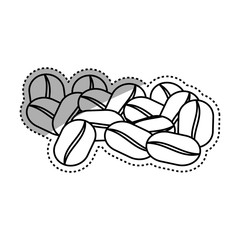 Delicious coffee beans icon vector illustration graphic design