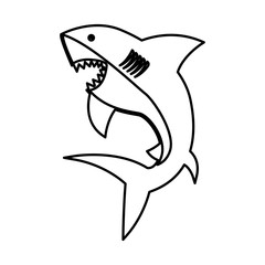shark silhouette alert icon vector illustration design