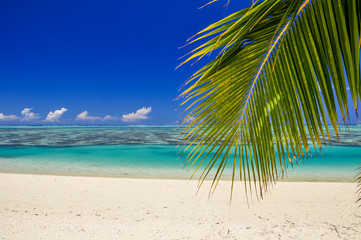 Fototapeta na wymiar Stunning view of a beautiful beach on the remote island of Aitutaki, north of the main island Rarotonga, Cook Islands. White sand beach, shallow water, palm trees and a coral reef. 