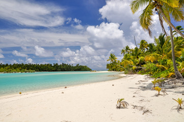 Stunning  view of a beach on One Foot Island, also called Tapuaetai, in the lagoon of Aitutaki, Cook Islands, in the South Pacific Ocean. Clear water, palm trees and white sand beach on a sunny day.