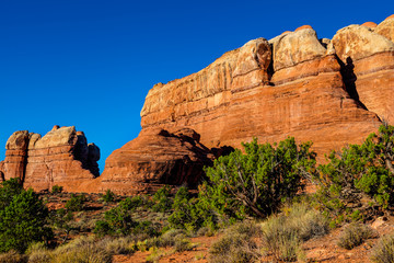 Fototapeta premium Hiking the beautiful, rough, and remote Elephant Hill Trail in the Needles District of the Canyonlands National Park in Utah, takes one to spectacular land formations and scenic views.
