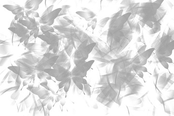 Abstract background grey butterfly on white