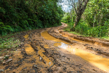 Impassable forest road of mud and clay, offroad