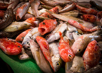 Fish Market #1, Palma de Mallorca, Spain.