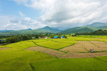 Obraz premium Rice terraces on mountain in Nan Province, northern of Thailand.