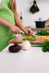 Close up of  woman's hands cooking in the kitchen. Housewife slicing ​​fresh salad. Vegetarian and healthily cooking concept