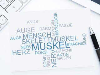 Muskel