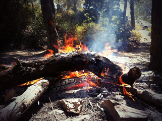 feu de camp
