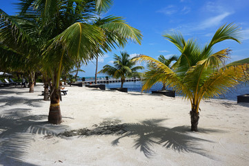 Fototapeta na wymiar Caribbean beach / Ambergris Caye, Belize