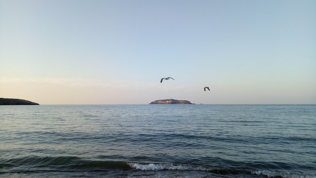 ile de laila