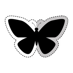 butterfly silhouette isolated icon vector illustration design