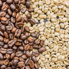 coffee beans fresh roast