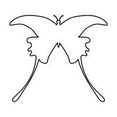 butterfly silhouette isolated icon vector illustration design