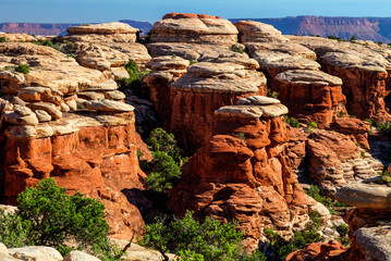 Hiking the beautiful, rough, and remote Elephant Hill Trail in the Needles District of the Canyonlands National Park in Utah, takes one to spectacular land formations and scenic vistas.