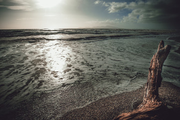 Traveling New Zealand © YiuCheung